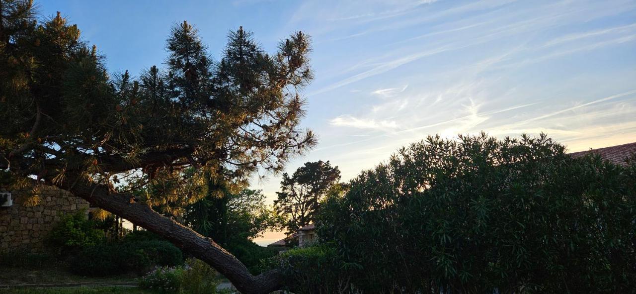 Chalereux T2 Vue Mer Et Piscine Alba Rossa Serra-di-Ferro  Exterior foto